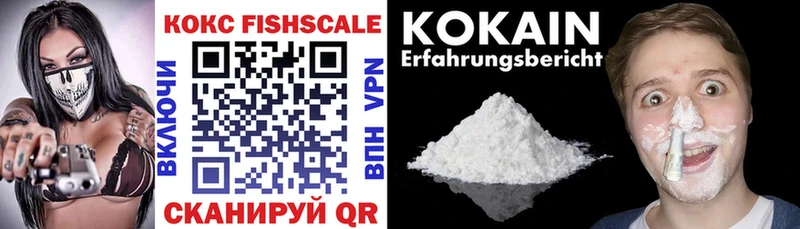 купить закладку  Заводоуковск  Кокаин Fish Scale 