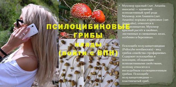 эйфоретик Вязьма