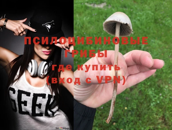 марки lsd Вяземский